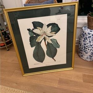 Vintage Framed Magnolia Botanical Art Print with Gold Frame by Christopher Trew